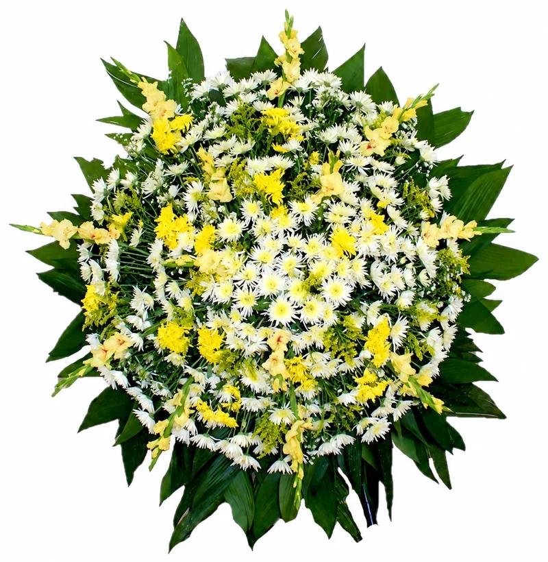 Coroa Tradicional Amarela